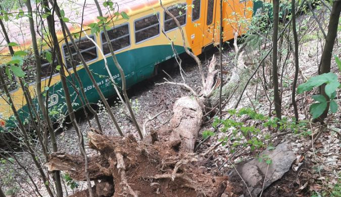 Strojvedoucí nezvládl zabrzdit. Vlak s patnácti cestujícími na Žďársku narazil do stromu