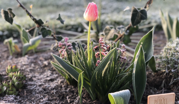 Meteorologové: Do pátku vydrží chladné počasí a noční mrazy, víkend přinese oteplení až na 20 stupňů