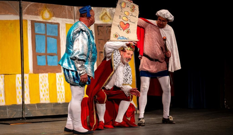 Lékaři a sestry v jihlavské Bárce budou mít nové auto. Peníze na ně „vydělalo“ divadelní představení 