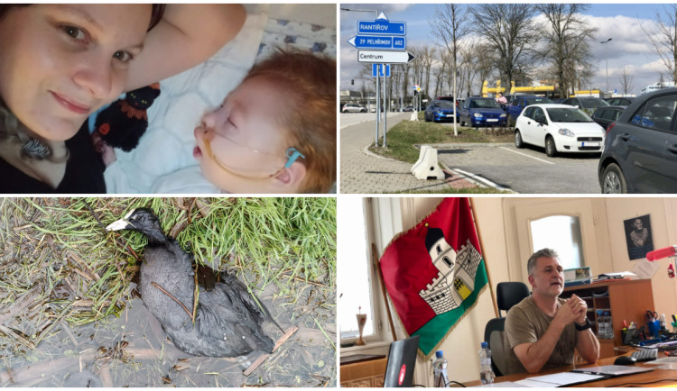 DUBEN NA DRBNĚ: (Ne)obyčejná maminka, parkování v Jihlavě, žáci útočící na kachny, neshody v Jeníkově