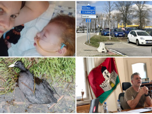 DUBEN NA DRBNĚ: (Ne)obyčejná maminka, parkování v Jihlavě, žáci útočící na kachny, neshody v Jeníkově