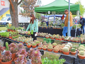 „Bydlíci“ i modelářská show. Vyrazte zdarma na HOBBY