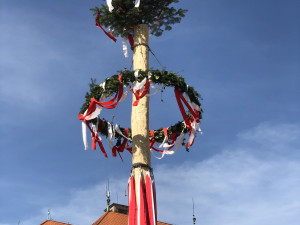 VIDEO: Májové slavnosti v Jihlavě ve znamení folkloru. Podívejte se na letošní zaplétání máje