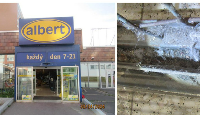 Sklad Albertu v Praze 8 uzavřela inspekce kvůli myšímu trusu