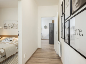 Zájem o bydlení v nájmu se i v Česku dostává do popředí