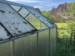 VIDEO: Bílo na Jihlavsku. Divoký závěr víkendu, zahrádkáři sčítají škody po supercelární bouři a kropobití