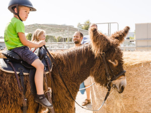Oslava padesáté Země živitelky bude velkolepá