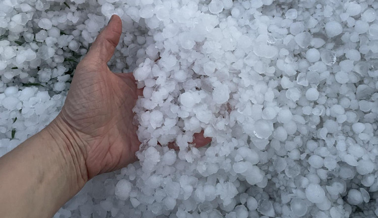 Bílo na Jihlavsku. Divoký závěr víkendu, zahrádkáři sčítají škody po supercelární bouři a kropobití, foto: Julie Pádivá