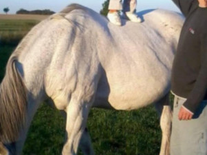 Policisté pořádají sbírku pro kamaráda. Po skoku do bazénu bojuje o život