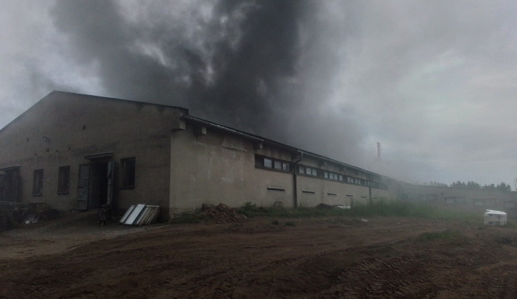 FOTO: Hasiči dnes likvidovali požár zemědělské haly na Žďársku, kde se chovají prasata