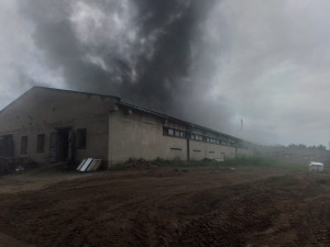 FOTO: Hasiči dnes likvidovali požár zemědělské haly na Žďársku, kde se chovají prasata