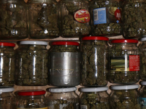 Muž z Jihlavy bezdůvodně napadl své sousedy. Policisté u něj doma následně našli pěstírnu konopí