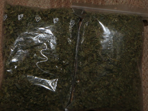 Muž z Jihlavy bezdůvodně napadl své sousedy. Policisté u něj doma následně našli pěstírnu konopí