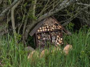 Robot na poli, děti pečující o přírodu. Soutěž E.ON Energy Globe o nejlepší ekologické projekt má šest finalistů