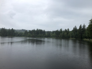 VIDEO: Má rybník čistou vodu? Lidem na Vysočině napoví barevný smajlík