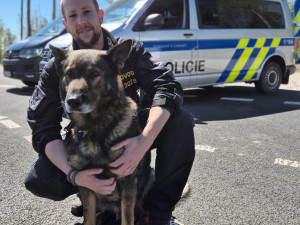 Policie na Vysočině nabízí mladým lidem stabilní a perspektivní povolání