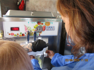 Vanilková pod drobnohledem hygieniků. Na Vysočině  padaly desetitisícové pokuty