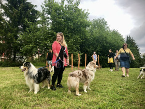 VIDEO: Nová zábava v Jihlavě. Dnes se otevřelo psí hřiště, má devět překážek