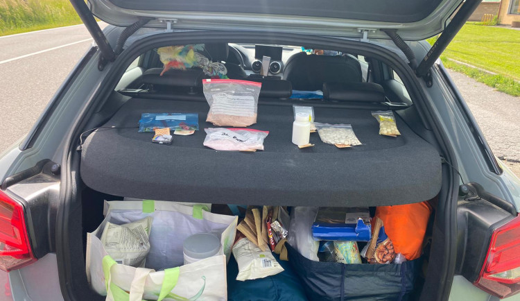 Návštěvníci technoparty na Žďársku se zásobili drogami. Celníci zadrželi LSD, kokain, hašiš i andělský prach