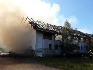 Rozsáhlý požár kravína na Pelhřimovsku, několik krav uhynulo. Na místě zasahuje deset jednotek