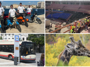 ČERVENEC NA DRBNĚ: K Jadranu na pionýrech, rok od stavby arény, hrdina z trolejbusu, úhyn žirafy v Zoo Jihlava