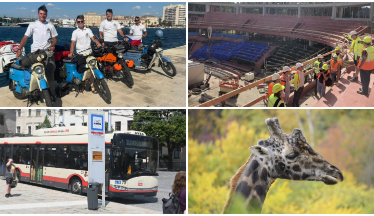 ČERVENEC NA DRBNĚ: K Jadranu na pionýrech, rok od stavby arény, hrdina z trolejbusu, úhyn žirafy v zoo