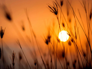 Červenec očima meteorologů. V Jihlavě byly čtyři dny tropické, nejtepleji bylo 10. července