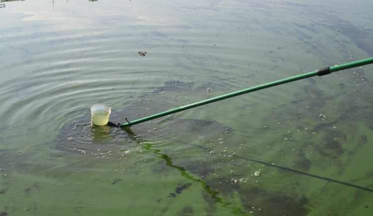 Odběr vzorků z městské pláže na Trnávce v srpnu 2024. Foto: se souhlasem KHSV
