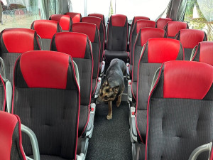 Bezpečnost na olympiádě střežil také pes Gorro z Vysočiny, hledal výbušniny. Foto: se souhlasem Policie ČR