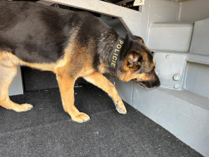 Bezpečnost na olympiádě střežil také pes Gorro z Vysočiny, hledal výbušniny. Foto: se souhlasem Policie ČR