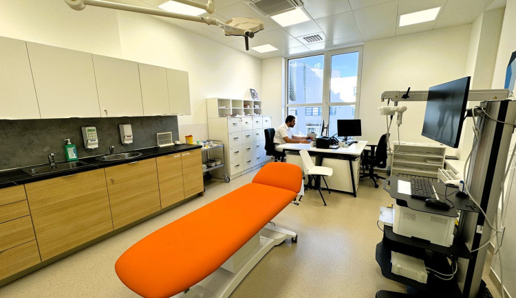 Pelhřimovská nemocnice otevře od září novou ambulanci pro alergiky. Fungovat bude dva dny v týdnu