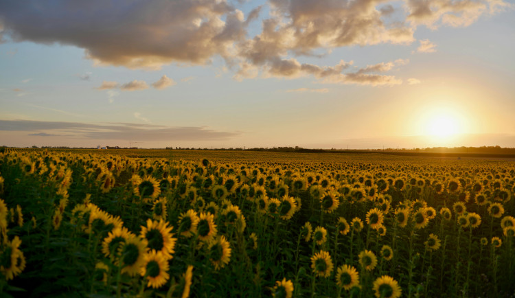 Ochlazení z počátku týdne se vrátí v pátek, ve zbytku týdne nás čekají tropy