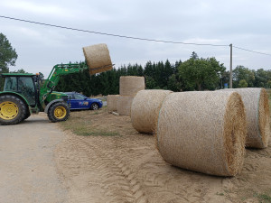 ANKETA: Jubilejní Slamáci v Jakubově. Řidiče i kolemjdoucí hlídá obří Sněhurka se svými trpaslíky