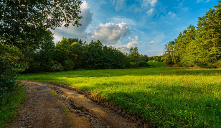 Krajský soud vyhověl Dětěm země v žalobě podané kvůli obchvatu Třebíče. Foto: se souhlasem Města Třebíč
