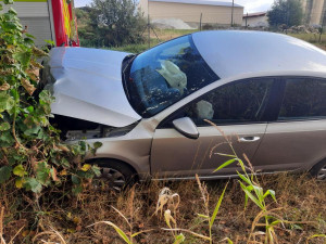 Nehoda u Batelova: Řidič škodovky narazil do stromu a zranil se, podle policie asi na chvíli usnul