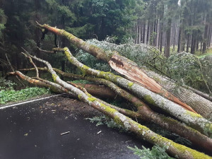 FOTO: Spadlé stromy na Vysočině zastavily vlaky, na Sázavě hrozí třetí povodňový stupeň