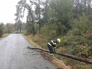 FOTO: Spadlé stromy na Vysočině zastavily vlaky, na Sázavě hrozí třetí povodňový stupeň
