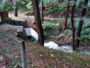 Město Havlíčkův Brod má situaci pod kontrolou. Foto: se souhlasem Města Havlíčkův Brod