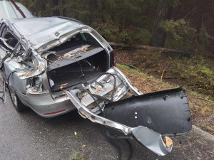 V Kostelní Myslové spadl strom na projíždějící auto. Města mají situaci pod kontrolou