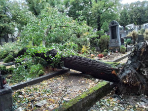 V Třebíči spadl strom na hřbitově, poničil několik hrobů. Foto: se souhlasem Hasičského záchranného sboru Kraje Vysočina