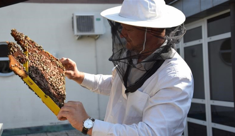 Krajské včely před příchodem zimy osobně zkontroloval radní kraje Pavel Hájek, který je sám zkušený včelař