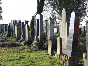 Moravské Budějovice chtějí změnit podobu místního hřbitova. Uvažují o přírodním pohřebišti