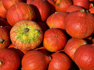 Užijte si dýňovou sezonu i doma. Připravte si jednoduchý dezert nebo aromatický Pumpkin Chai