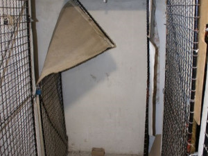 Policisté dopadli zloděje, který v uplynulých týdnech terorizoval Jihlavu. Na kontě má nejméně pět vloupání