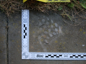 Policisté dopadli zloděje, který v uplynulých týdnech terorizoval Jihlavu. Na kontě má nejméně pět vloupání