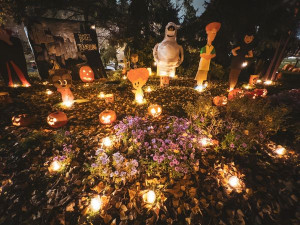 Bojíte se rádi? Na Paloučku to každý den po setmění svítí a bliká