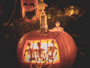 Bojíte se rádi? Na Paloučku to každý den po setmění svítí a bliká