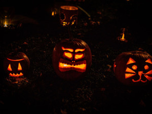 Bojíte se rádi? Na Paloučku to každý den po setmění svítí a bliká