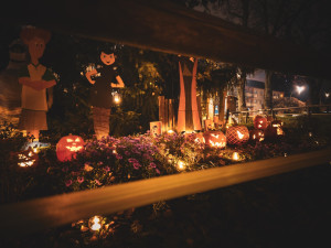 Bojíte se rádi? Na Paloučku to každý den po setmění svítí a bliká