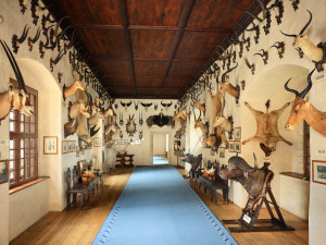 Africký sál. Foto: zamek-telc.cz